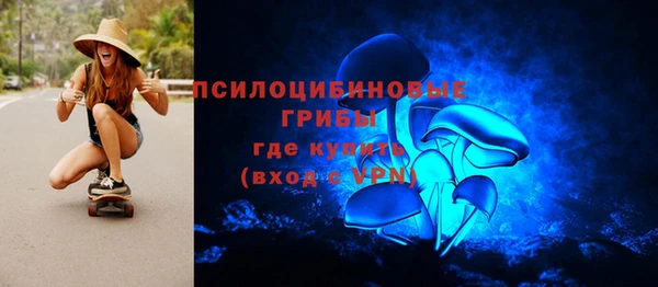 хмурый Арсеньев
