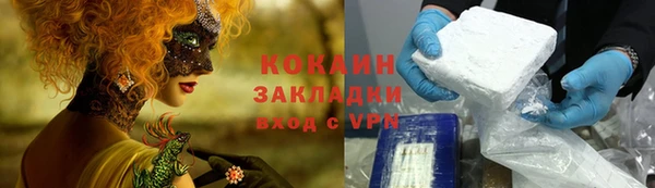 крисы Алзамай