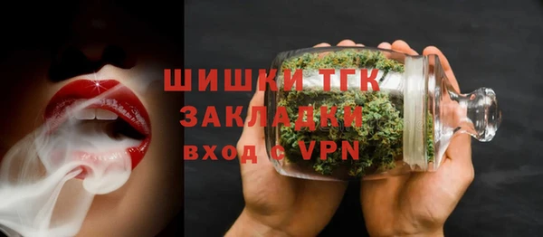 хмурый Арсеньев
