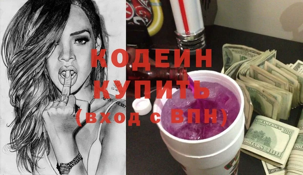 хмурый Арсеньев