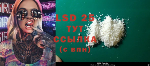 хмурый Арсеньев
