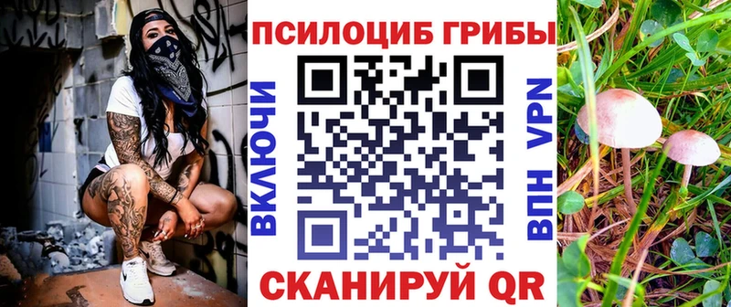 Галлюциногенные грибы мухоморы  Апатиты 