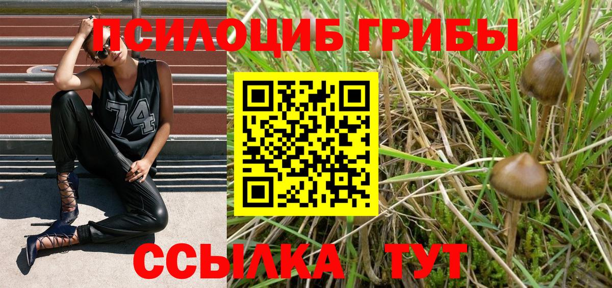 Галлюциногенные грибы мицелий  Апатиты 