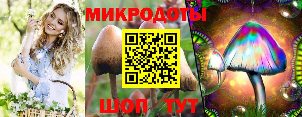 Псилоцибиновые грибы мицелий Апатиты