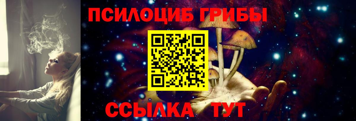 Галлюциногенные грибы GOLDEN TEACHER Апатиты